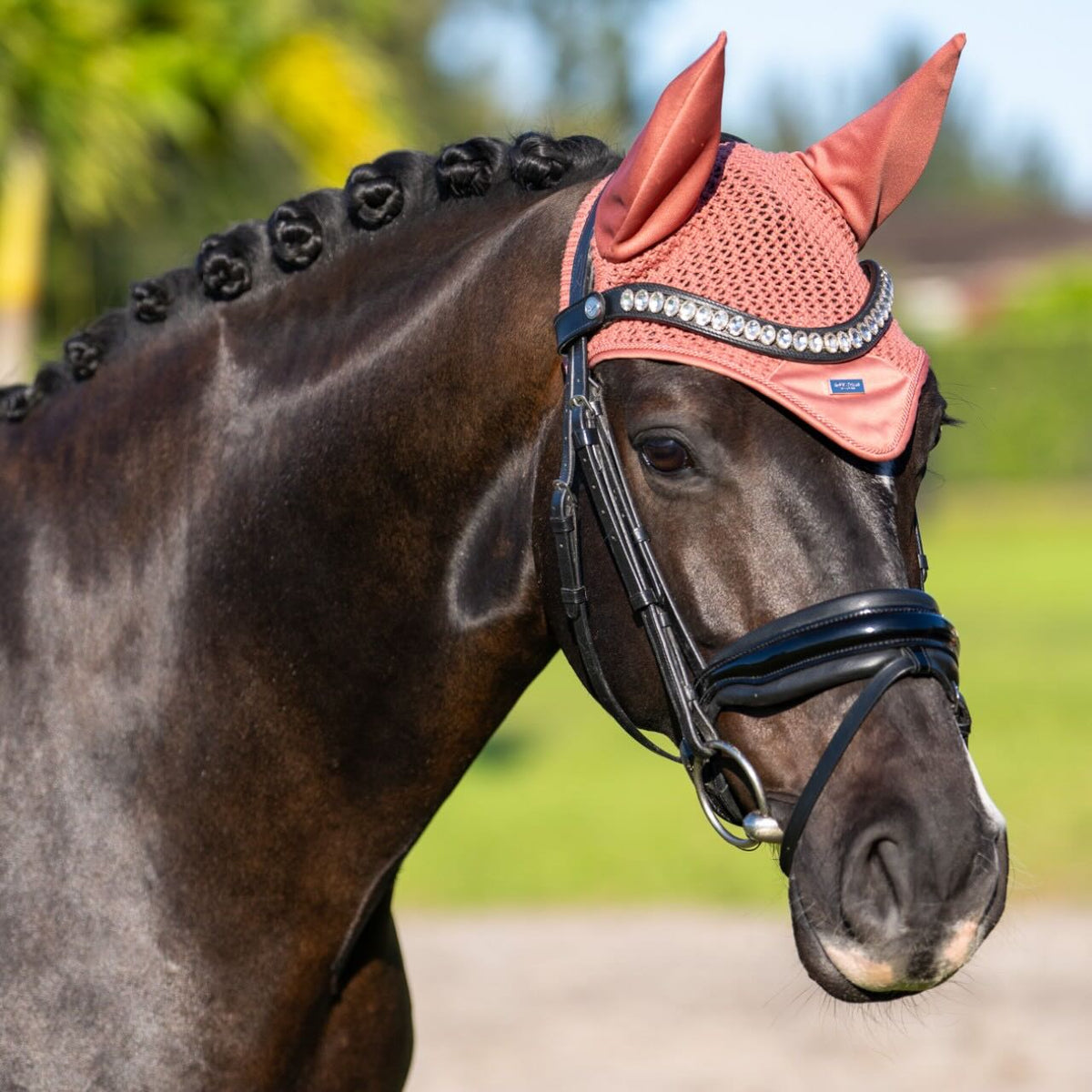 Equestrian Stockholm Fliegenhaube Coral Fliegenmütze, Coral, Pferd trägt die Fliegenhaube mit Trense.