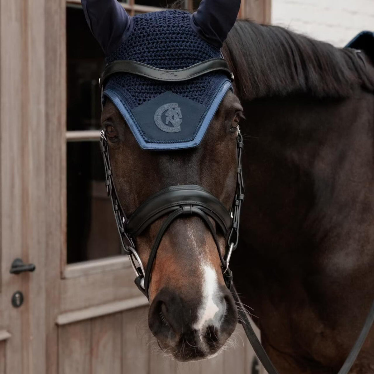 Kentucky Fliegenhaube Wellington Sparkling Fliegenohren, Navy, Pferd mit Trense im Stall.