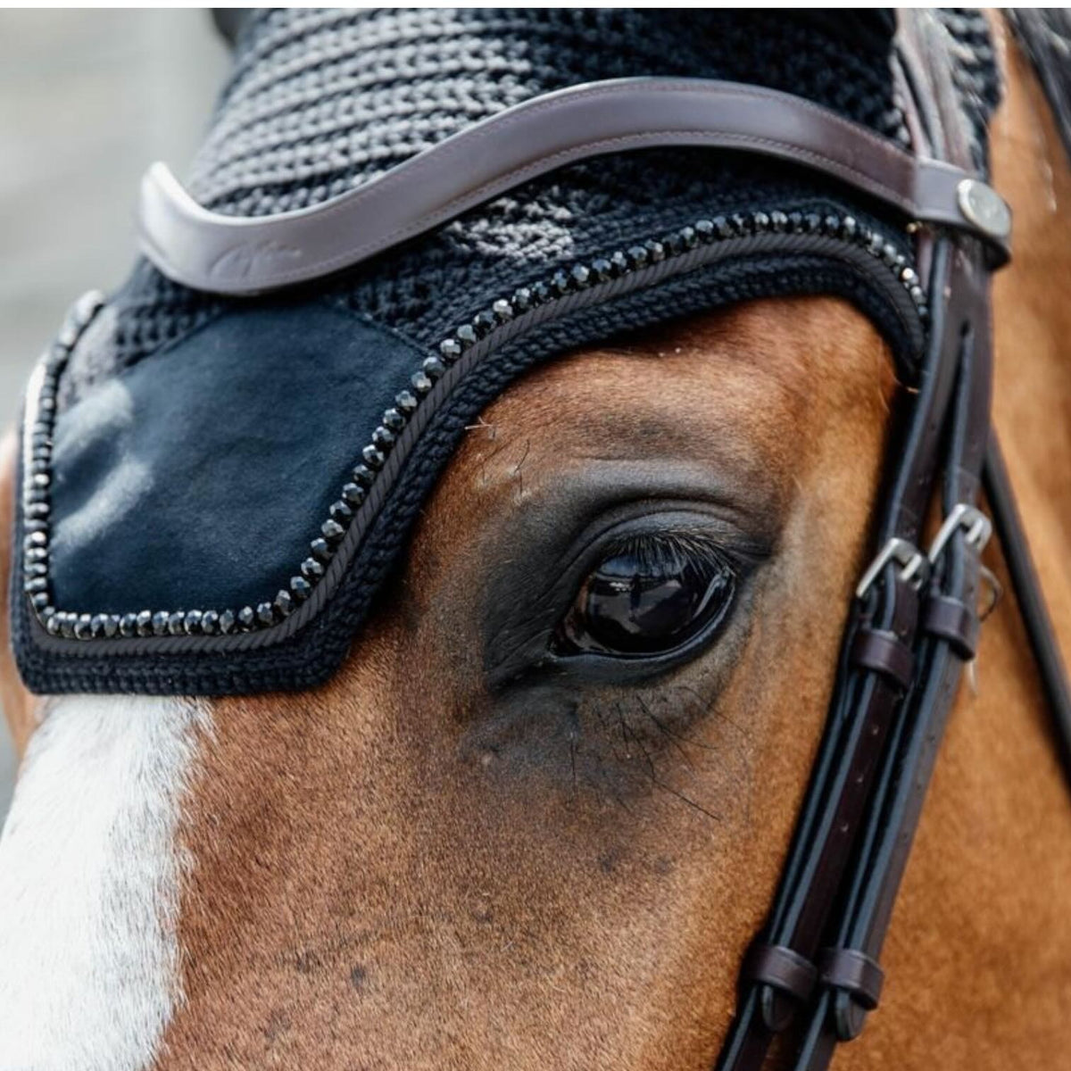 Kentucky Horsewear Fliegenhaube Wellington Velvet Pearls Soundless Fliegenmütze, Schwarz, Detailaufnahme am Pferdekopf.