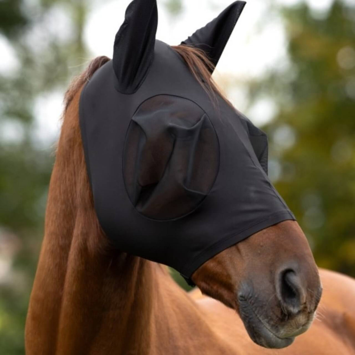 Covalliero Fliegenmaske FinoStretch Zipper Fliegenschutzmaske, Schwarz, Pferd trägt die Maske.
