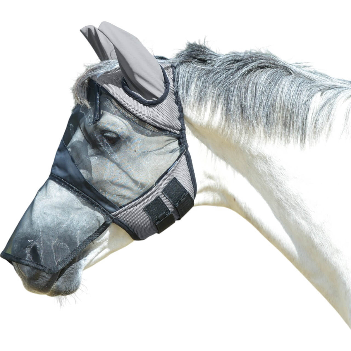 Fliegenmaske Fly Cover Pro Gap II Fliegenschutz, Grau/Schwarz, Pferd trägt die Maske.