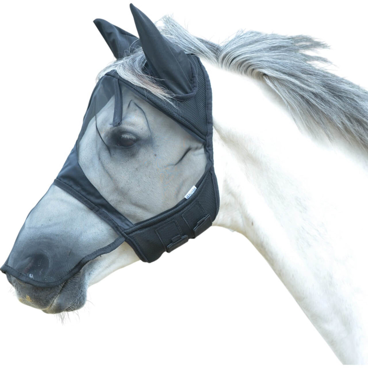 Fliegenmaske Fly Cover Pro Gap II Fliegenschutz, Schwarz, Pferd trägt die Maske.