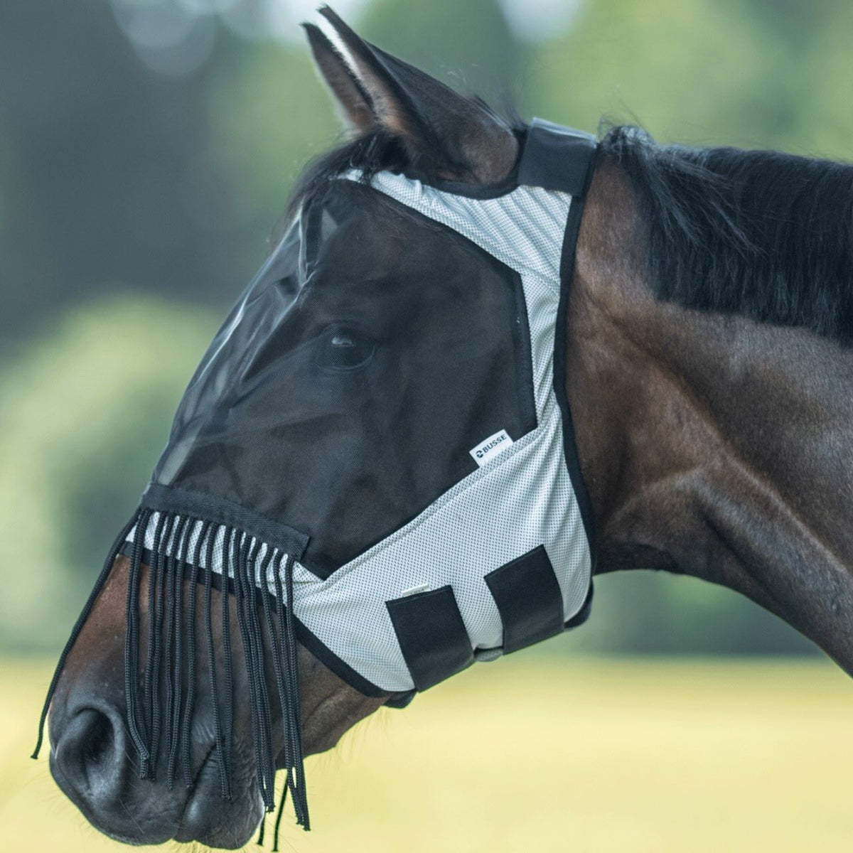 Busse Fliegenmaske Fly Guard Free FR Fliegenschutz, Schwarz, Pferd trägt Fliegenmaske im Profil.