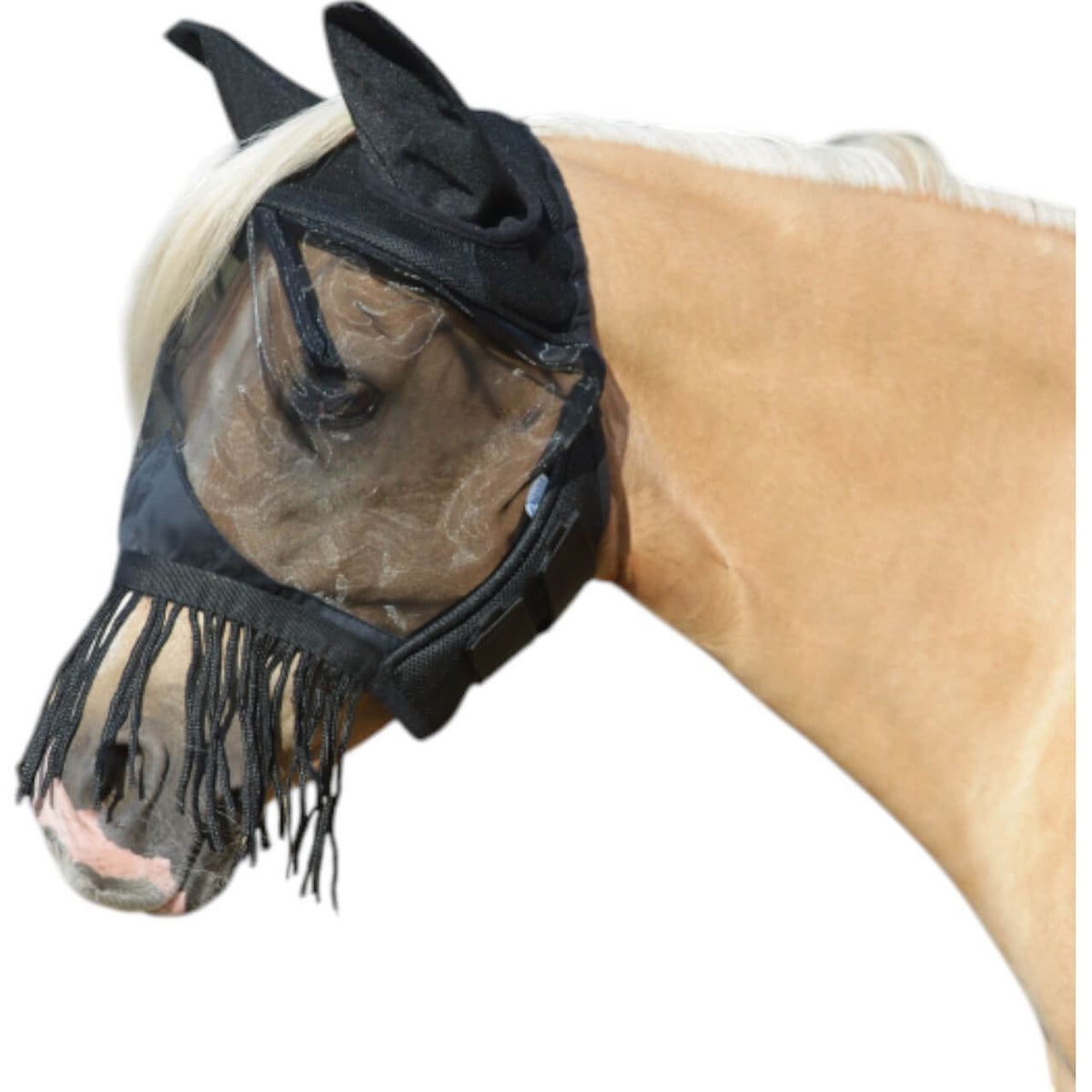 Fliegenmaske Fly Cover Fransen Gap II Fliegenhaube, Schwarz, Pferd trägt die Maske mit Fransen.