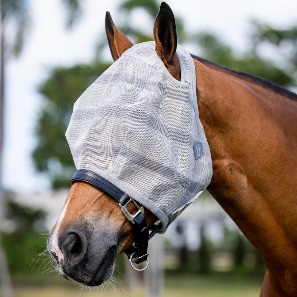 Horseware Ireland Fliegenmaske Newmarket No Ears Fly Mask, Pale Grey, Pferd trägt die Fliegenmaske.