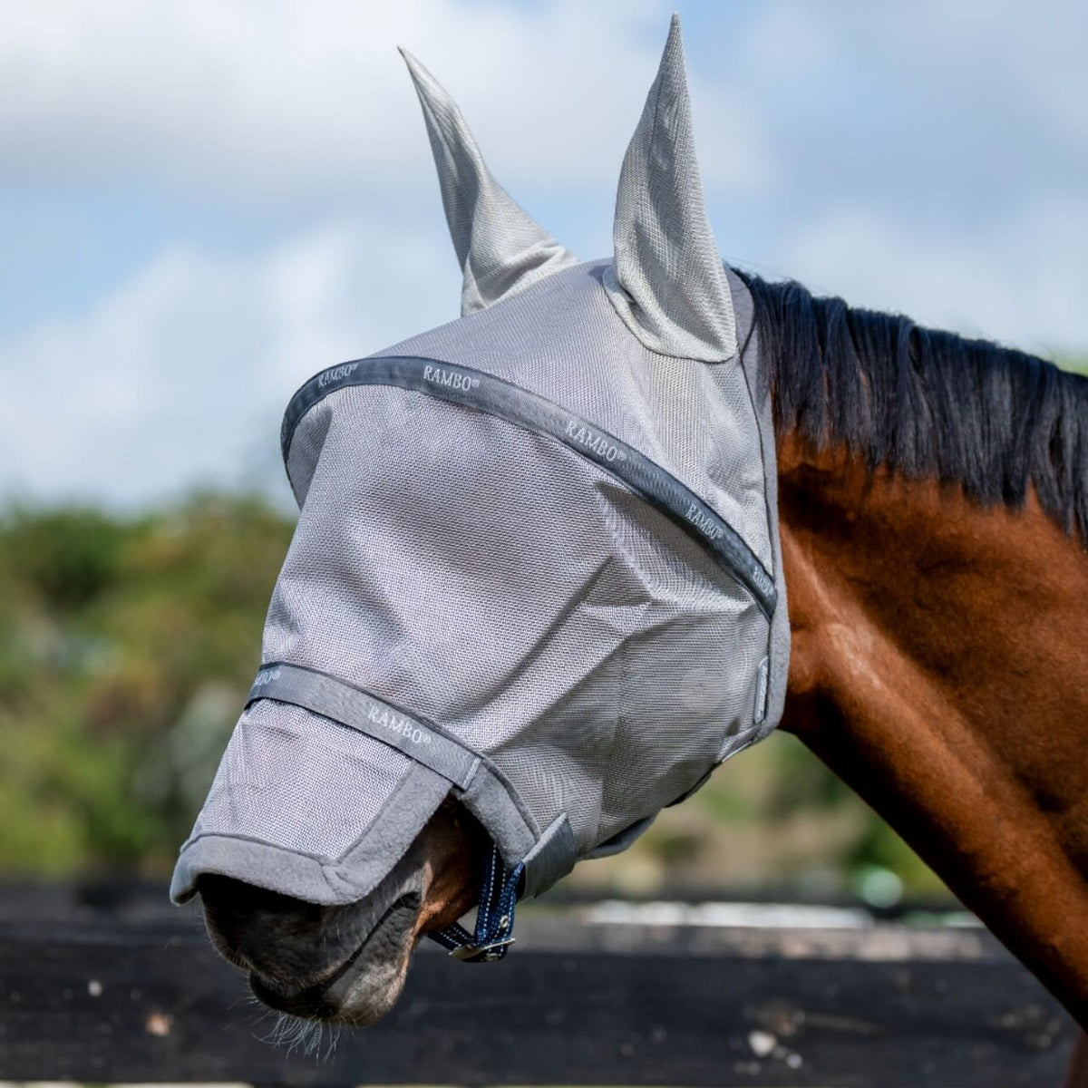 Horseware Ireland Fliegenmaske Rambo Flymask Plus, Grau, Pferd trägt die Maske.