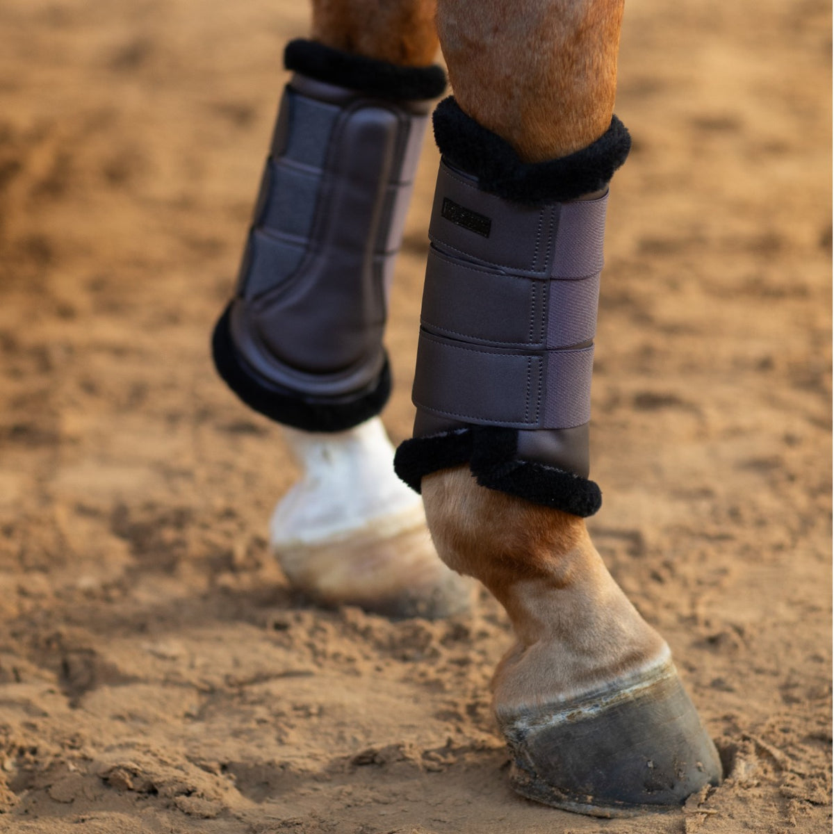 Equestrian Stockholm Gamaschen Dark Violet Fellgamaschen, Dark Violet, an Pferdebeinen im Sand.