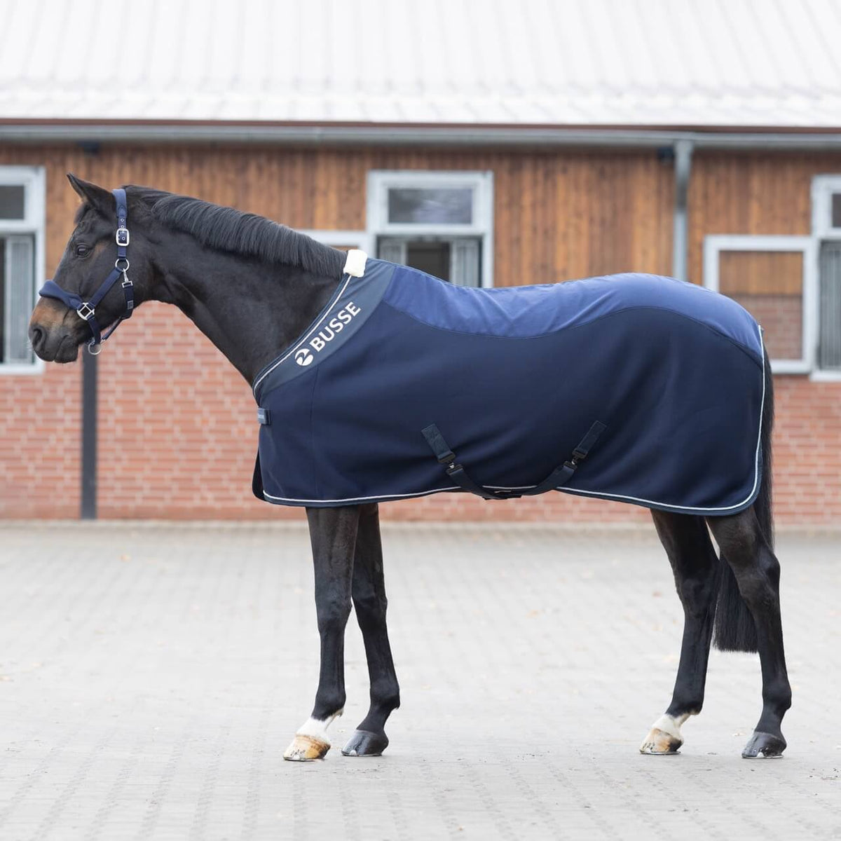 BUSSE Abschwitzdecke 3D Air Fleece Premium, Navy, Pferd trägt die Decke im Stallhof.