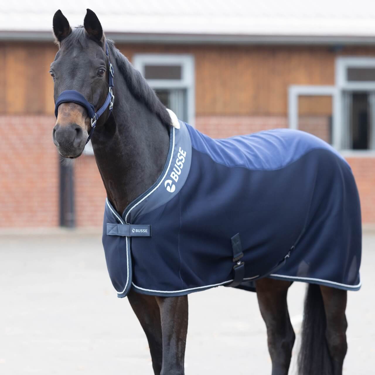 Abschwitzdecke 3D Air Fleece Premium