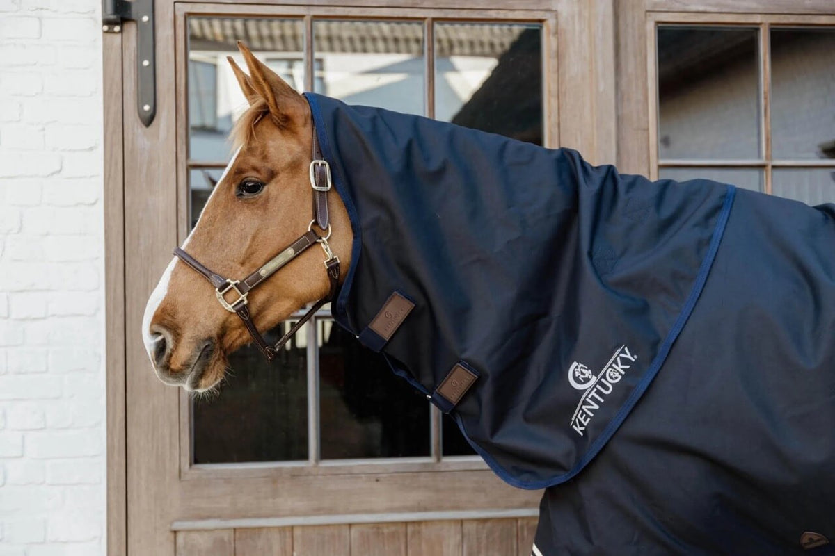Kentucky Horsewear Halsteil 0g Neck All Weather Waterproof Comfort Regenhalsteil, Navy, Pferd trägt das Halsteil am Kopf.