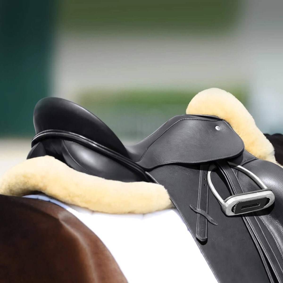 Passier Sattelpad Lammfell Pad, Schwarz, am Sattel auf dem Pferd.