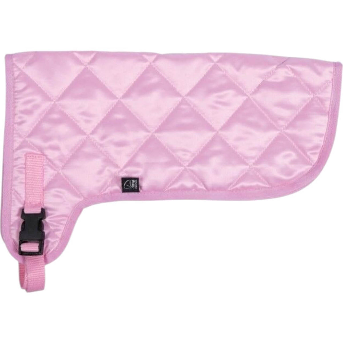 Decke Hobby Horsing