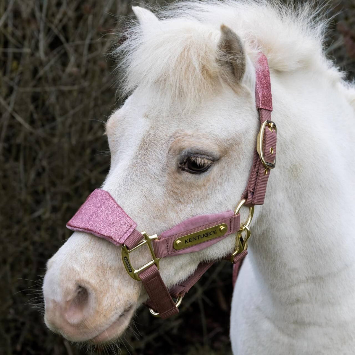 Kentucky Horsewear Halfter Velvet Unicorn Glitter Nylonhalfter, Pink, Pferd mit Halfter im Profil.