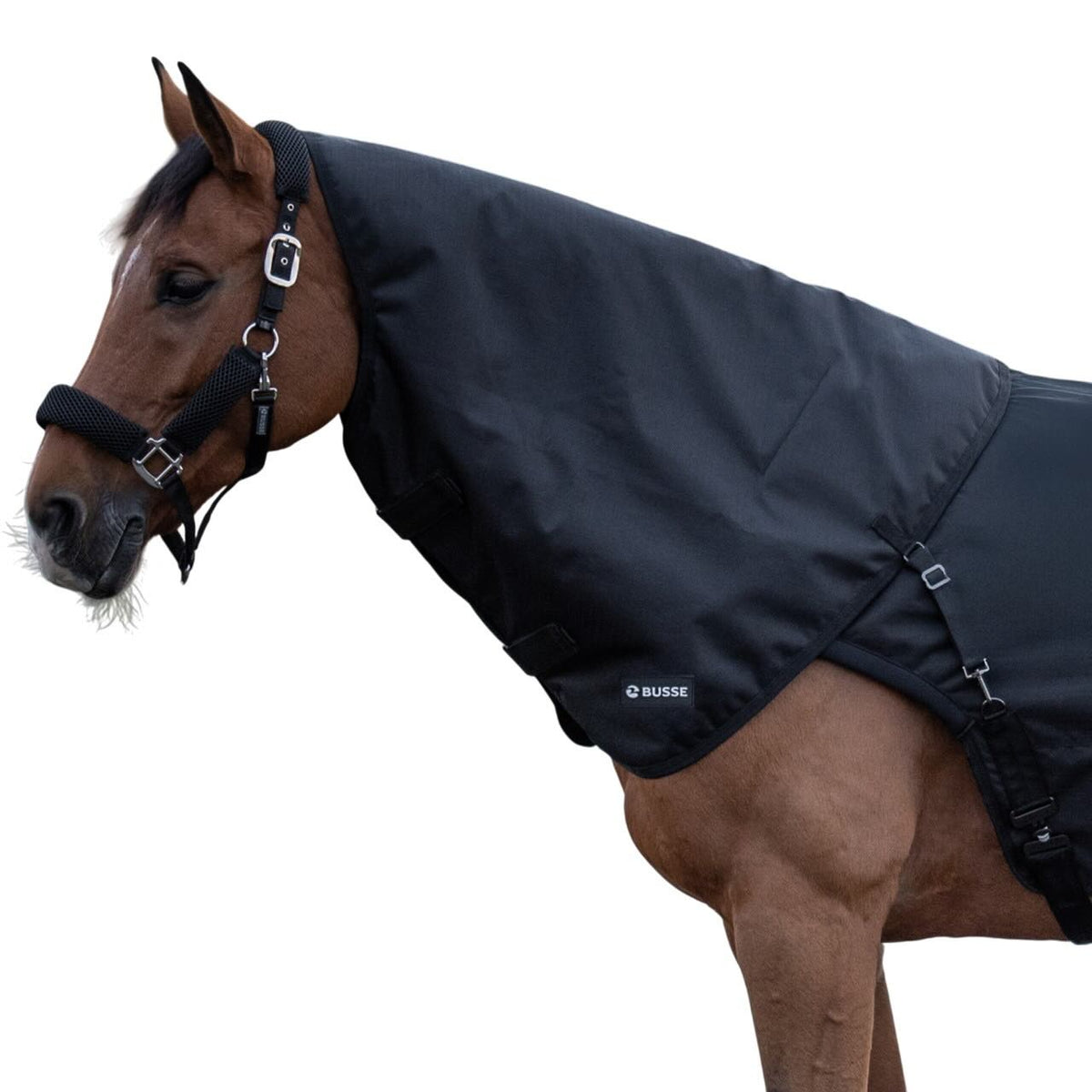 BUSSE Halsteil 50g für Bewegungsdecke Rain, Schwarz, am Pferd getragen.