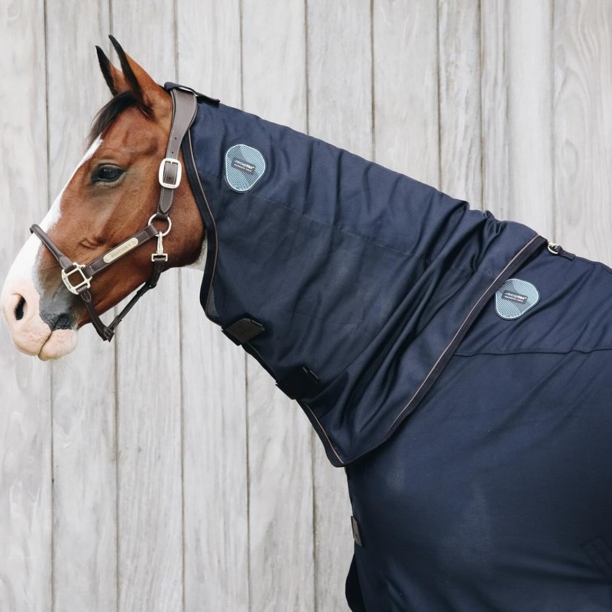 Kentucky Horsewear Halsteil Recuptex Therapiehalsteil, Marine, am Pferd getragen.