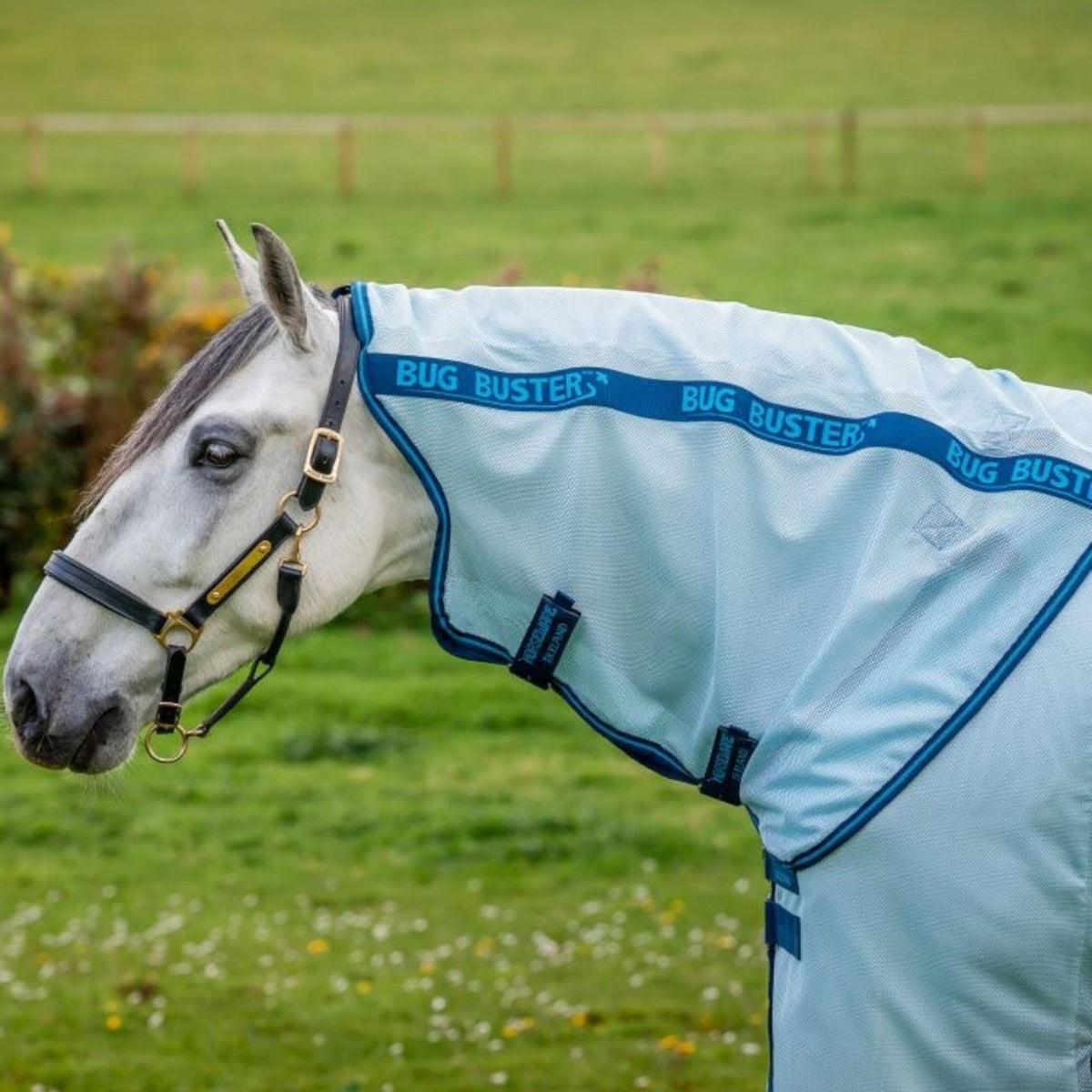 Horseware Ireland Halsteil für Amigo Bug Buster Hood Cover, Hellblau, am Pferd getragen.