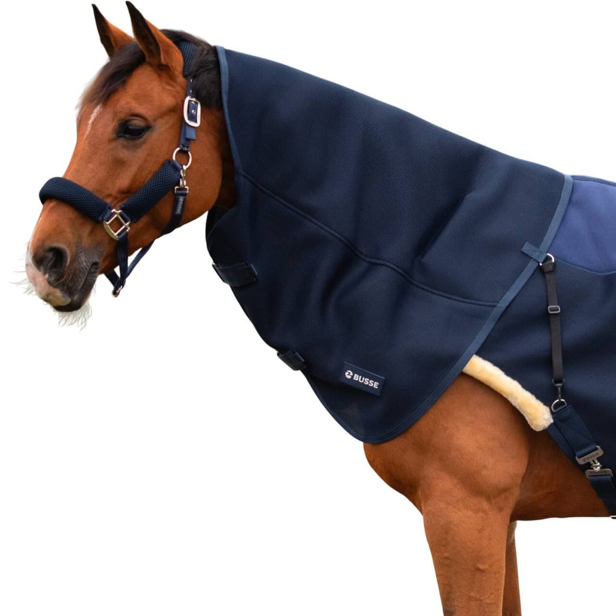 BUSSE Halsteil für Bewegungsdecke 3D Air, Navy, Pferd trägt das Halsteil.