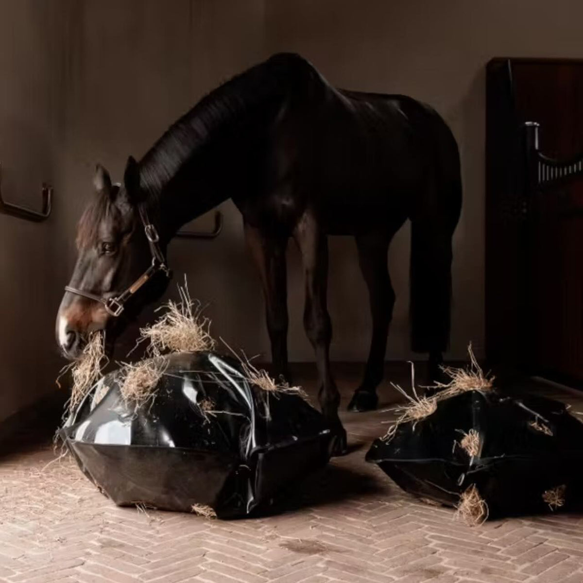 Heutasche Play & Slowfeeder Rund Heunetz, schwarz, Pferd frisst daraus im Stall.