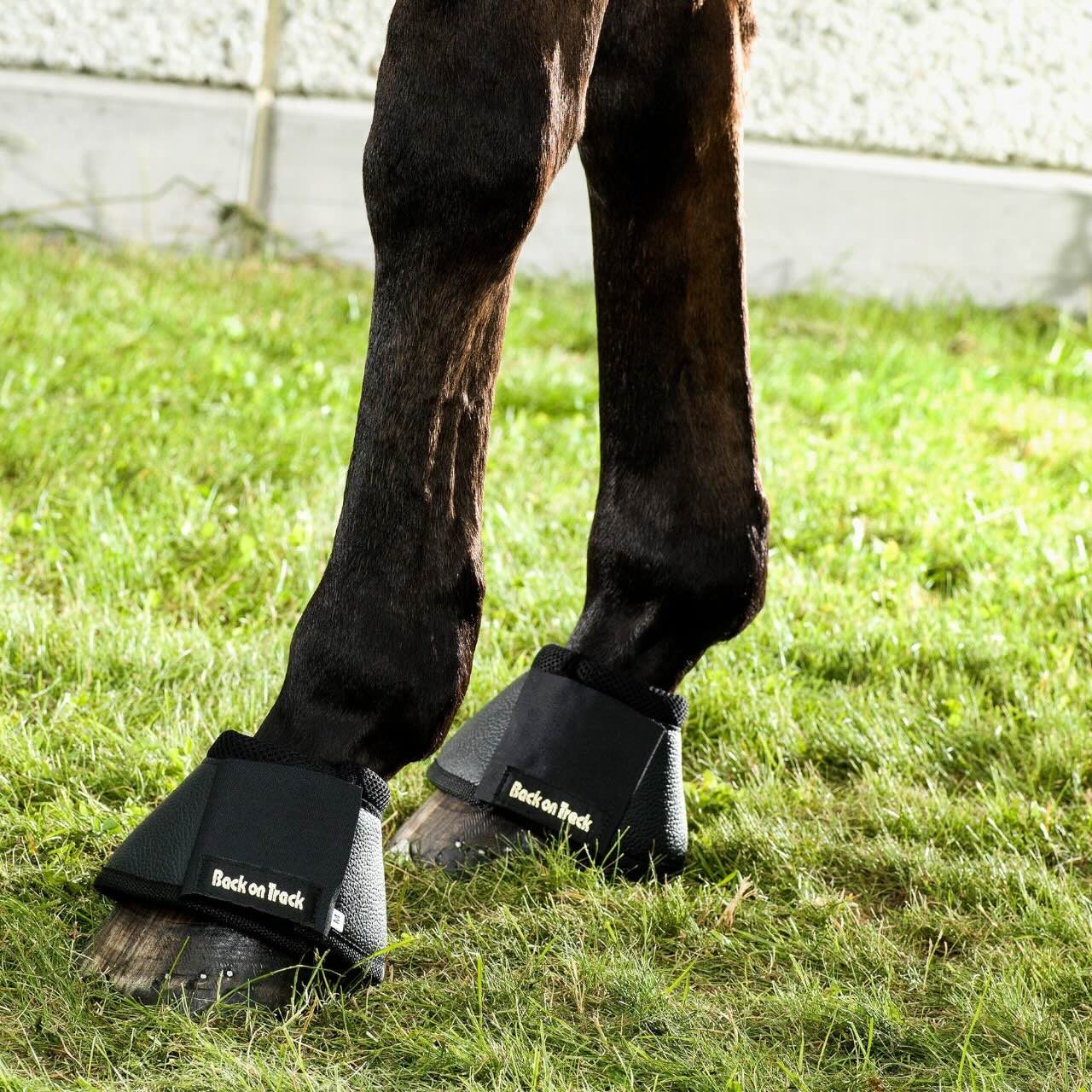 Hufglocken Sprungglocken