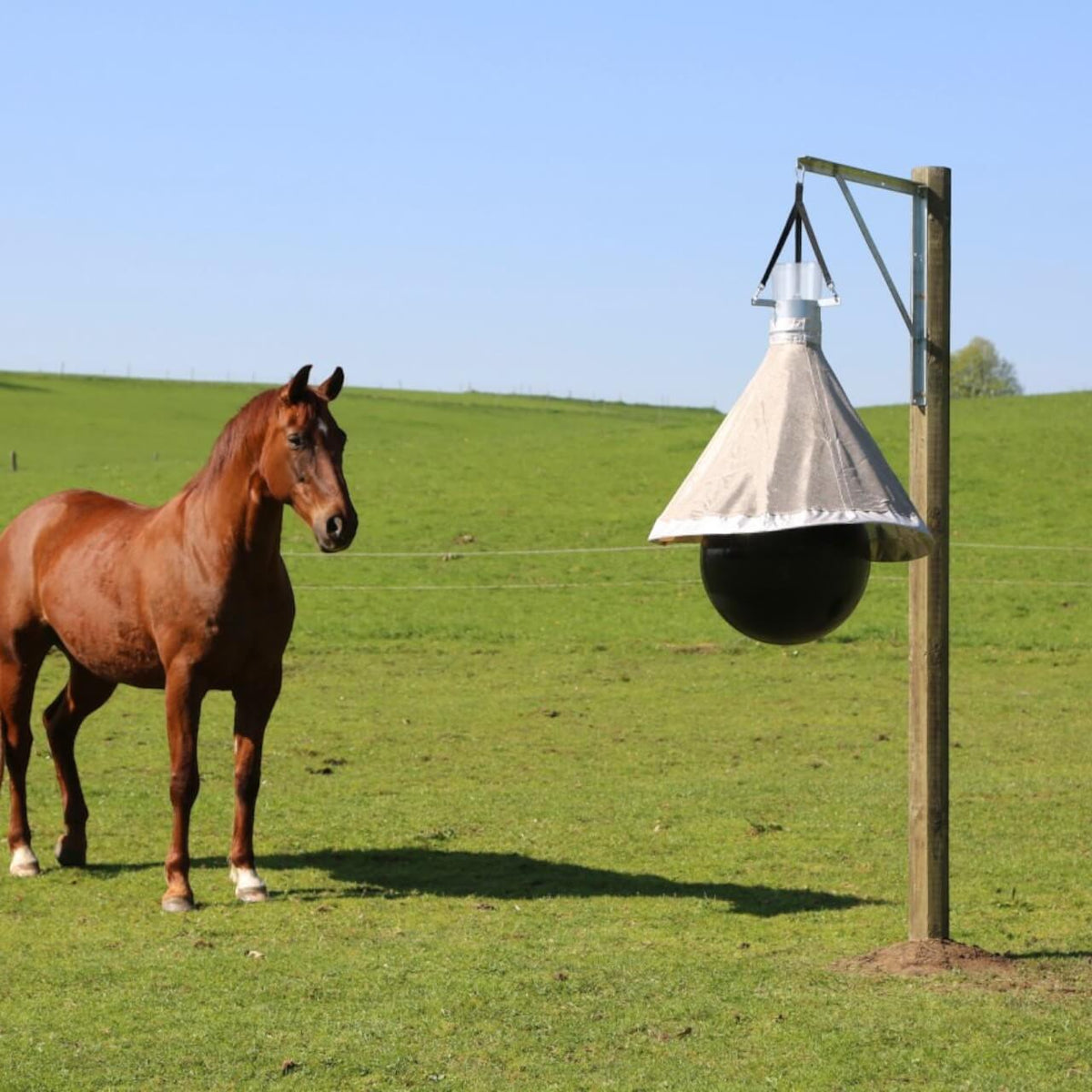 Bremsenfalle TaonX Eco, Pferd auf Weide neben aufgehängter Falle.