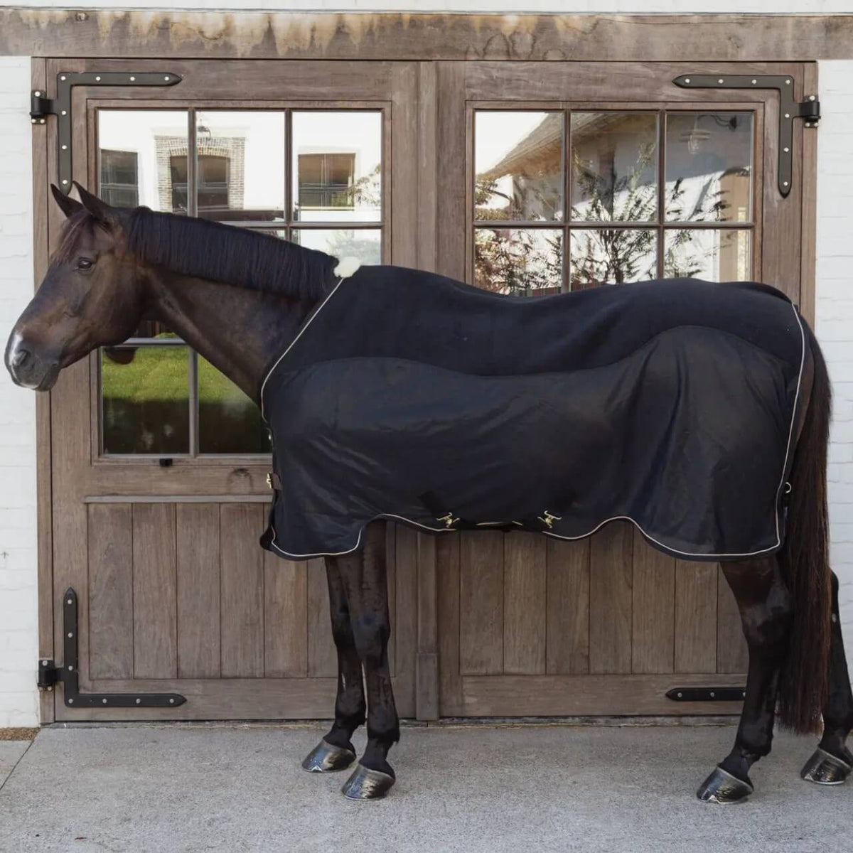 Abschwitzdecke Fleece Mesh Cooler Combo, Schwarz, Pferd trägt die Decke vor Holztüren.