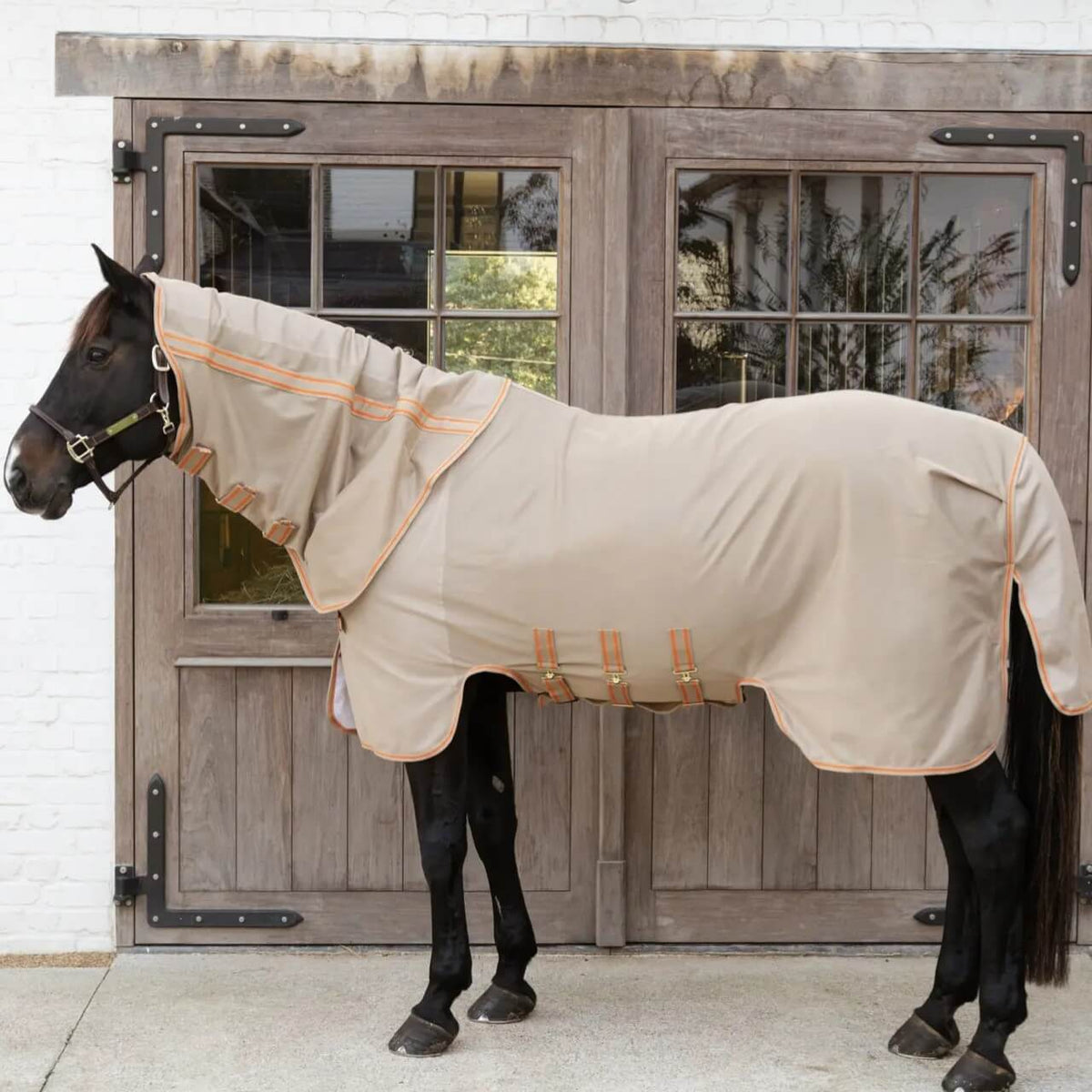 Kentucky Horsewear Fliegendecke Comfort mit Halsteil, Beige, Pferd trägt die Decke vor Stalltür.
