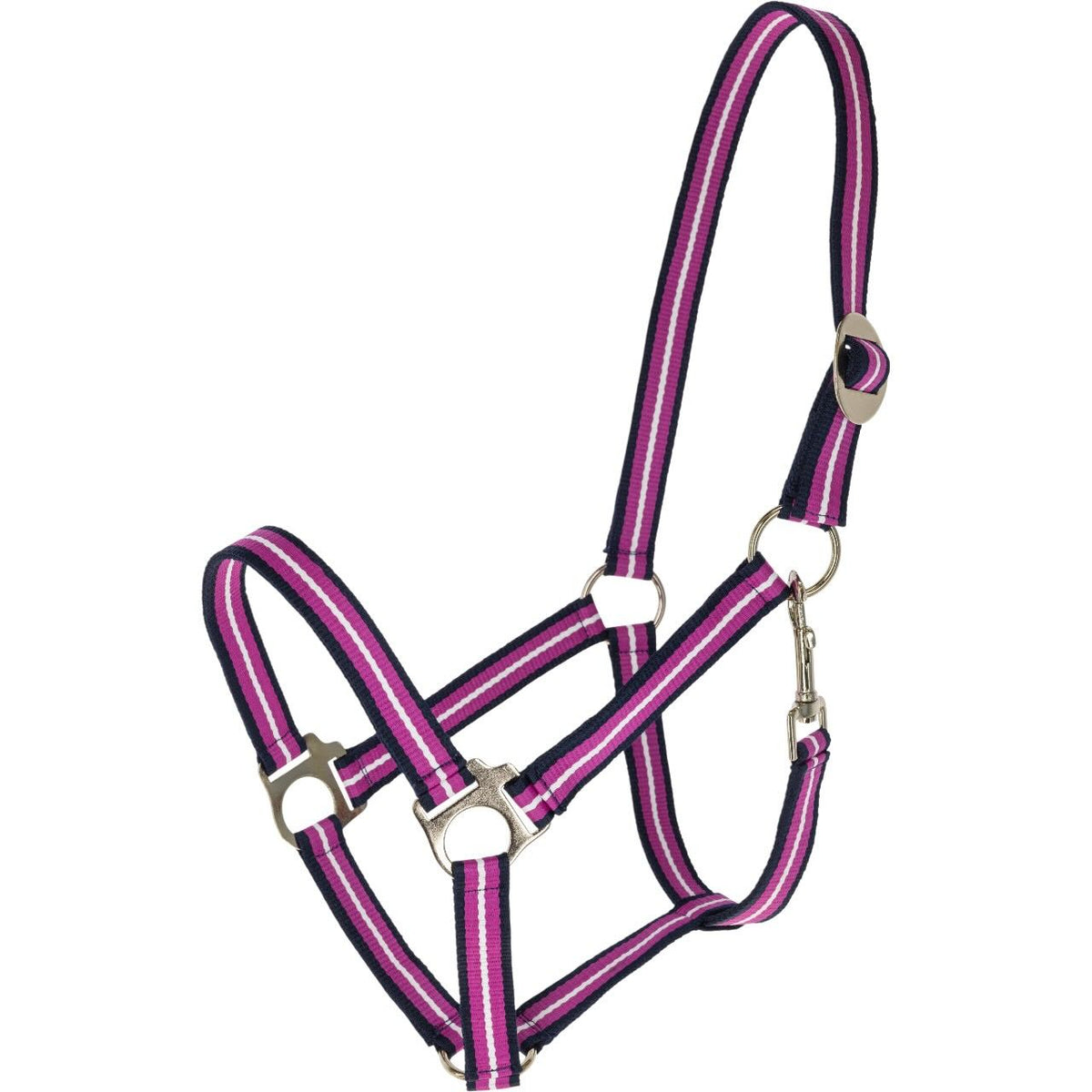 Covalliero Nylonhalfter Hippo FS 2026 Halfter, Dark Navy/Light Berry, Halfter allein auf weißem Hintergrund.