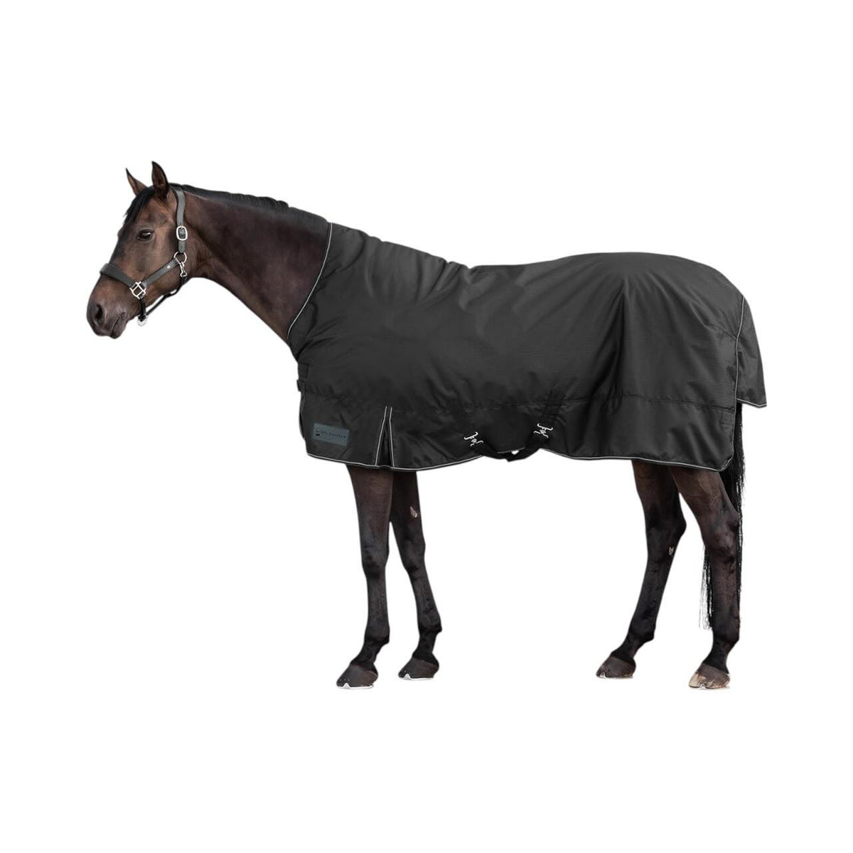 Waldhausen Outdoordecke 100g High Neck Nordic Weidedecke, Schwarz, Pferd trägt die Decke.