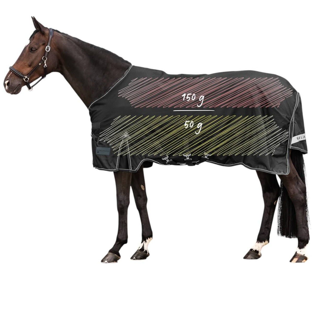 Waldhausen Outdoordecke 150g / 50g SCANDIC Multi-Layer Funktionsdecke, Schwarz, Pferd trägt die Decke.