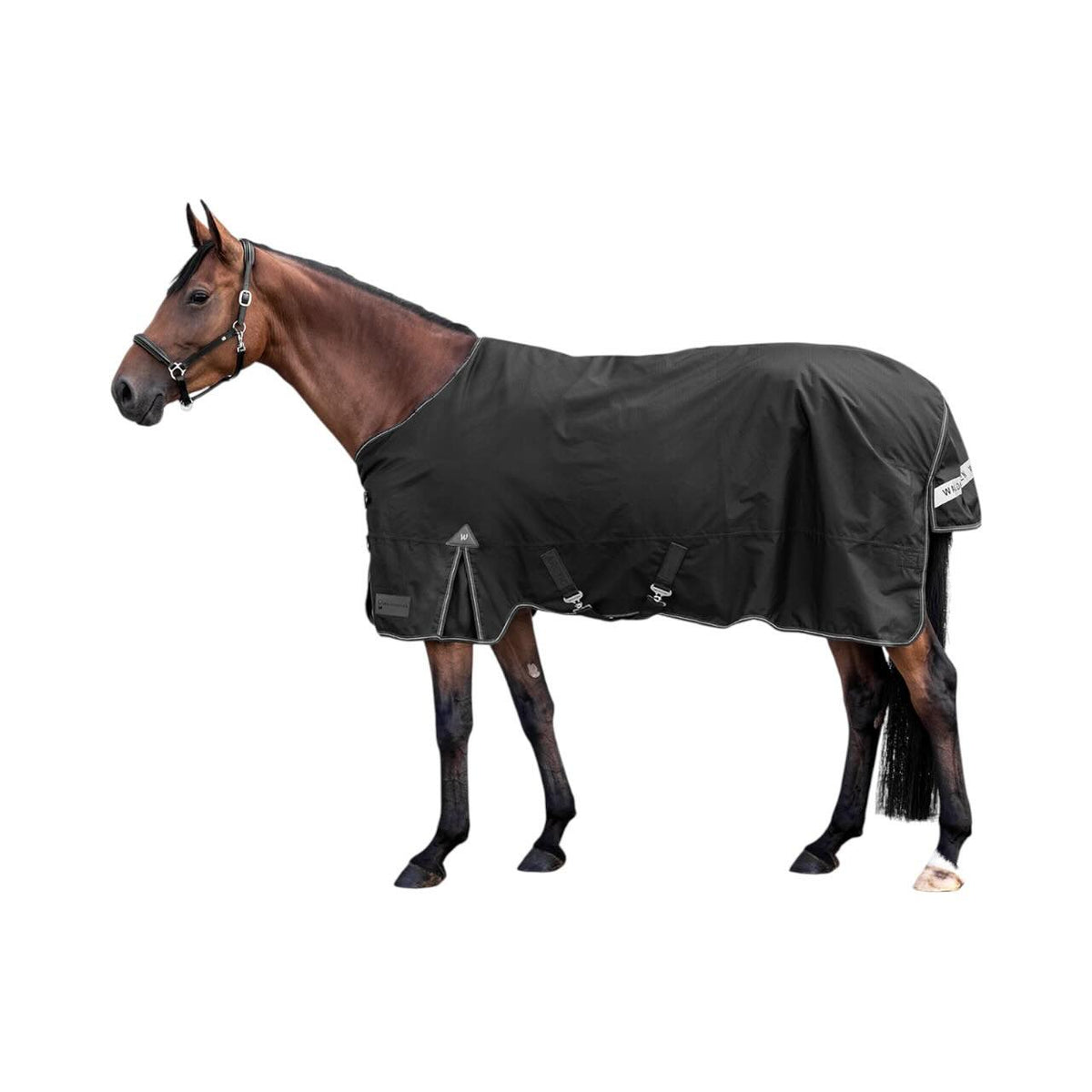 Waldhausen Outdoordecke 200g Arctic Weidedecke, Schwarz, Pferd trägt die Decke.