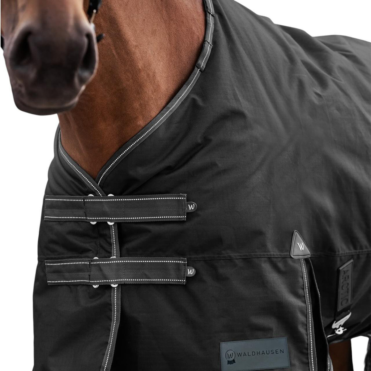 Waldhausen Outdoordecke 200g Arctic Weidedecke, Schwarz, Pferd trägt die Decke.