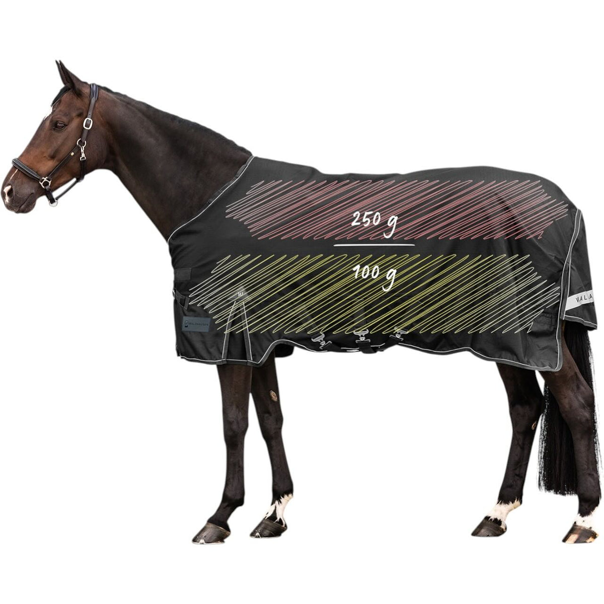 Waldhausen Outdoordecke 250g / 100g SCANDIC Multi-Layer Funktionsdecke, Schwarz, Pferd trägt die Decke.