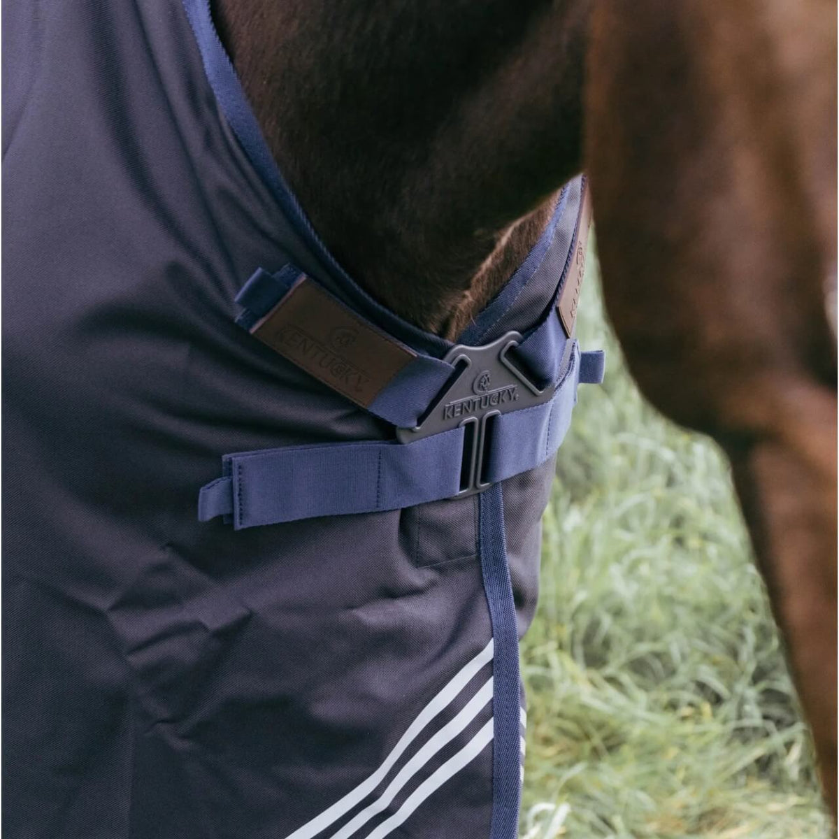 Kentucky Horsewear Outdoordecke 300g All Weather Waterproof Comfort Weidedecke, Dunkelblau, Detailaufnahme am Pferd.