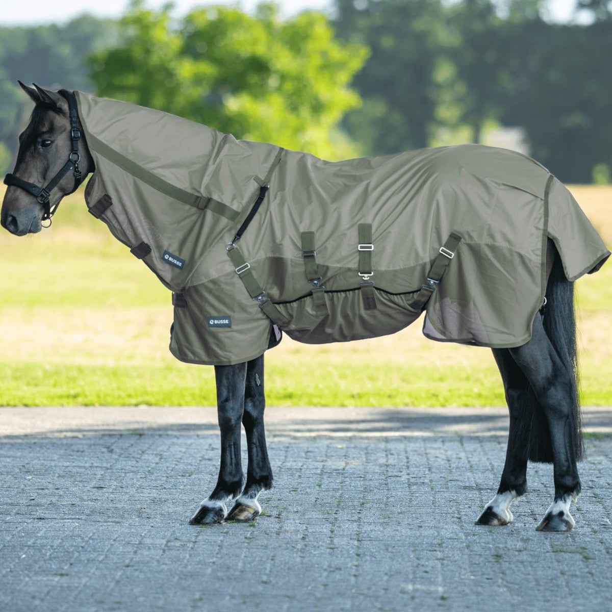 BUSSE Halsteil Rainfly BK Neck Cover, Olivgrün, Pferd trägt das Halsteil im Freien.