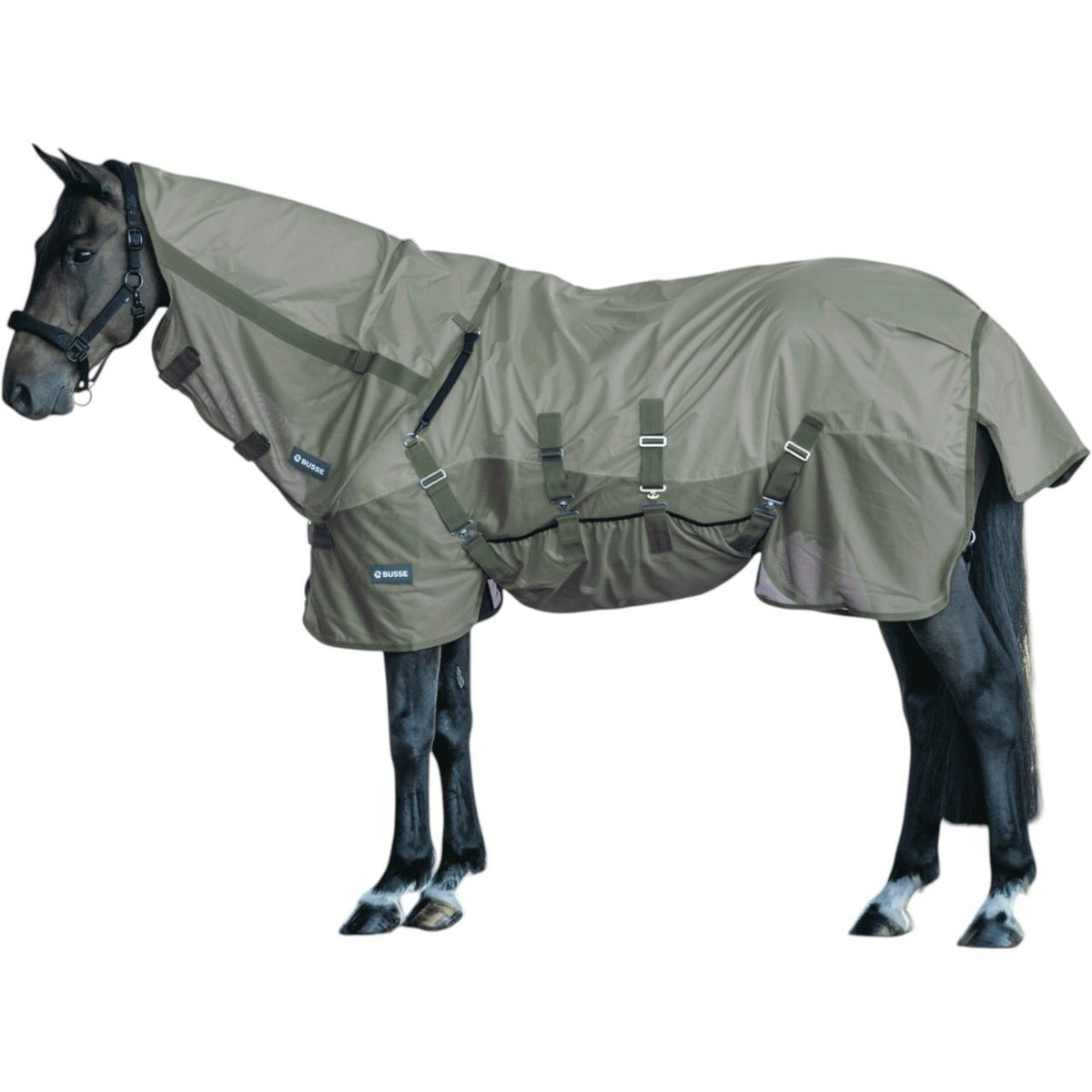 BUSSE Outdoordecke Rainfly BL Fliegendecke, Lightolive, Pferd trägt die Decke.