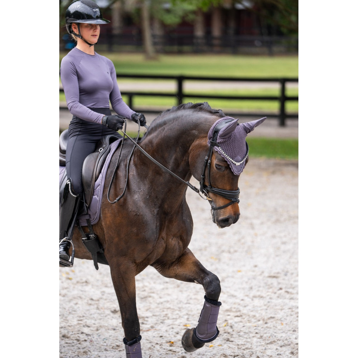 Reithandschuh Unisex Motion Dark Violet Handschuh, Reiterin auf Pferd im Dressurtraining.