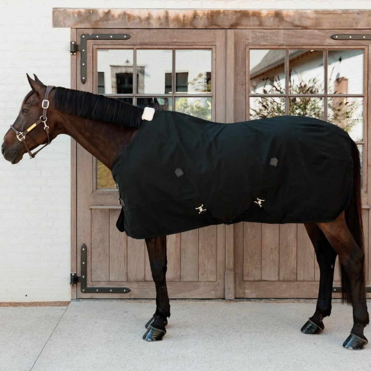 Kentucky Horseware Stalldecke Canvas Funktionsdecke, Schwarz, Pferd trägt die Decke vor einer Holztür.