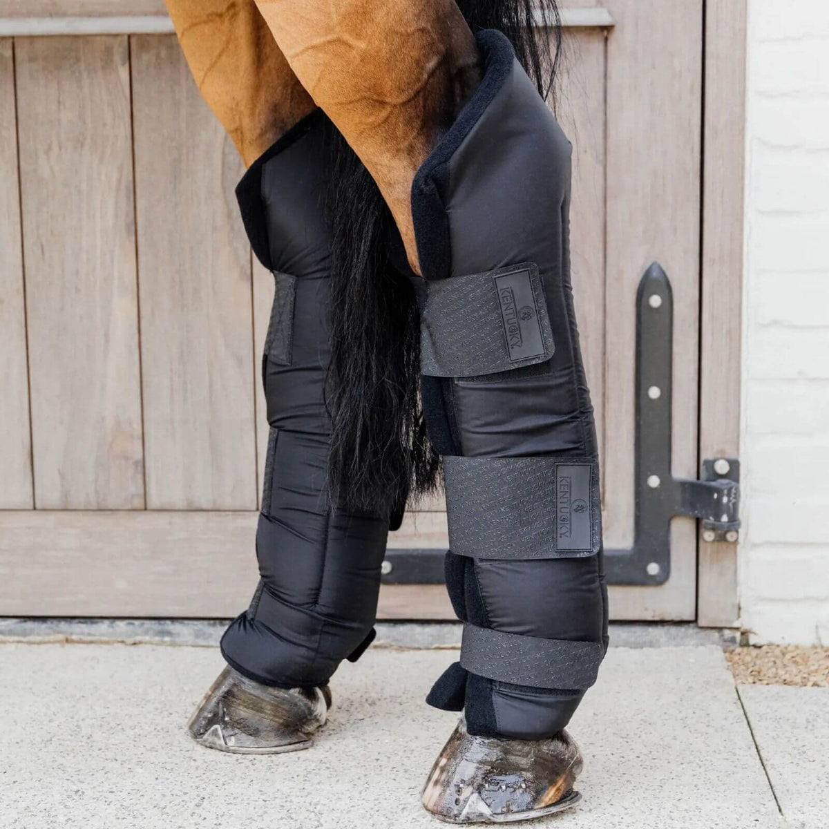 Kentucky Horsewear Stallgamaschen PROtect Lang (Hinten) Gamaschen, Schwarz, an Pferdebeinen.