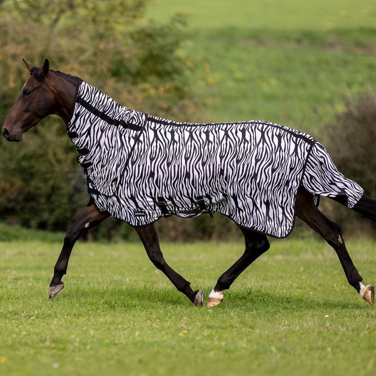 Outdoor-Fliegendecke Comfort Flexi Zebra Decke, Schwarz-Weiß, Pferd trägt Decke auf der Weide.