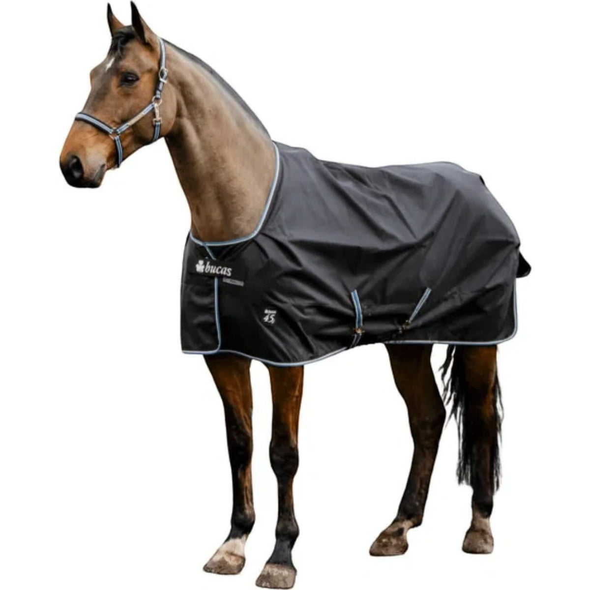 Outdoordecke 100g Anniversary Turnout SD Weidedecke
