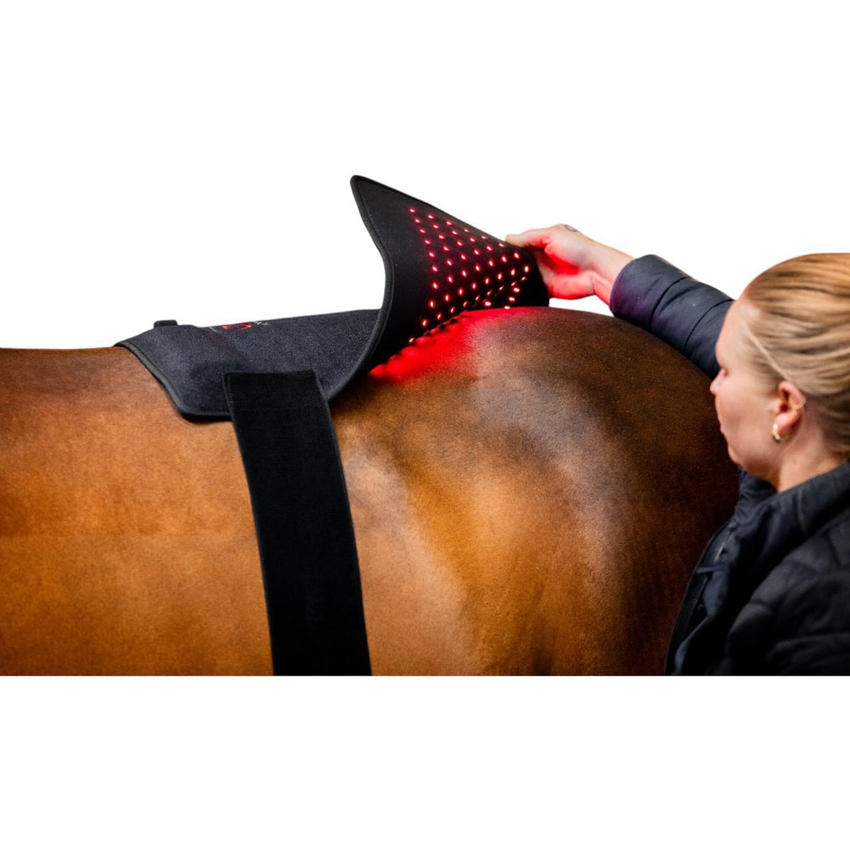 Horseware Ireland Therapiepad für LED-Rotlicht-Therapie Körperpad, Produkt an Pferderücken verwendet.