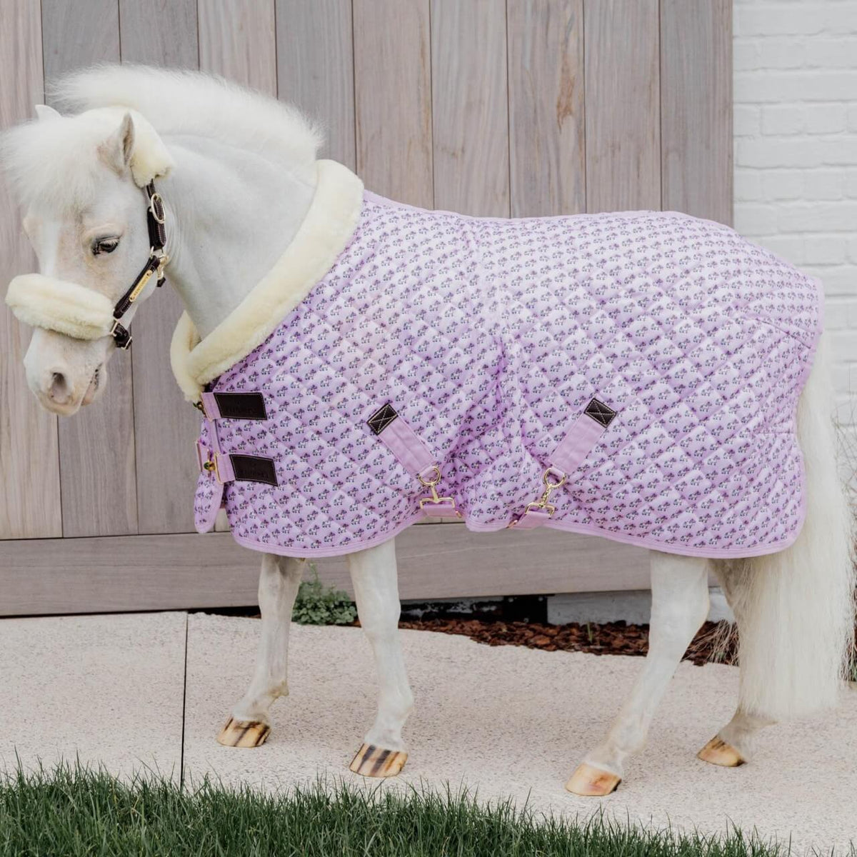 Kentucky Horsewear Turnierdecke 160g Sammy Ponydecke, Pferd trägt die Decke draußen.