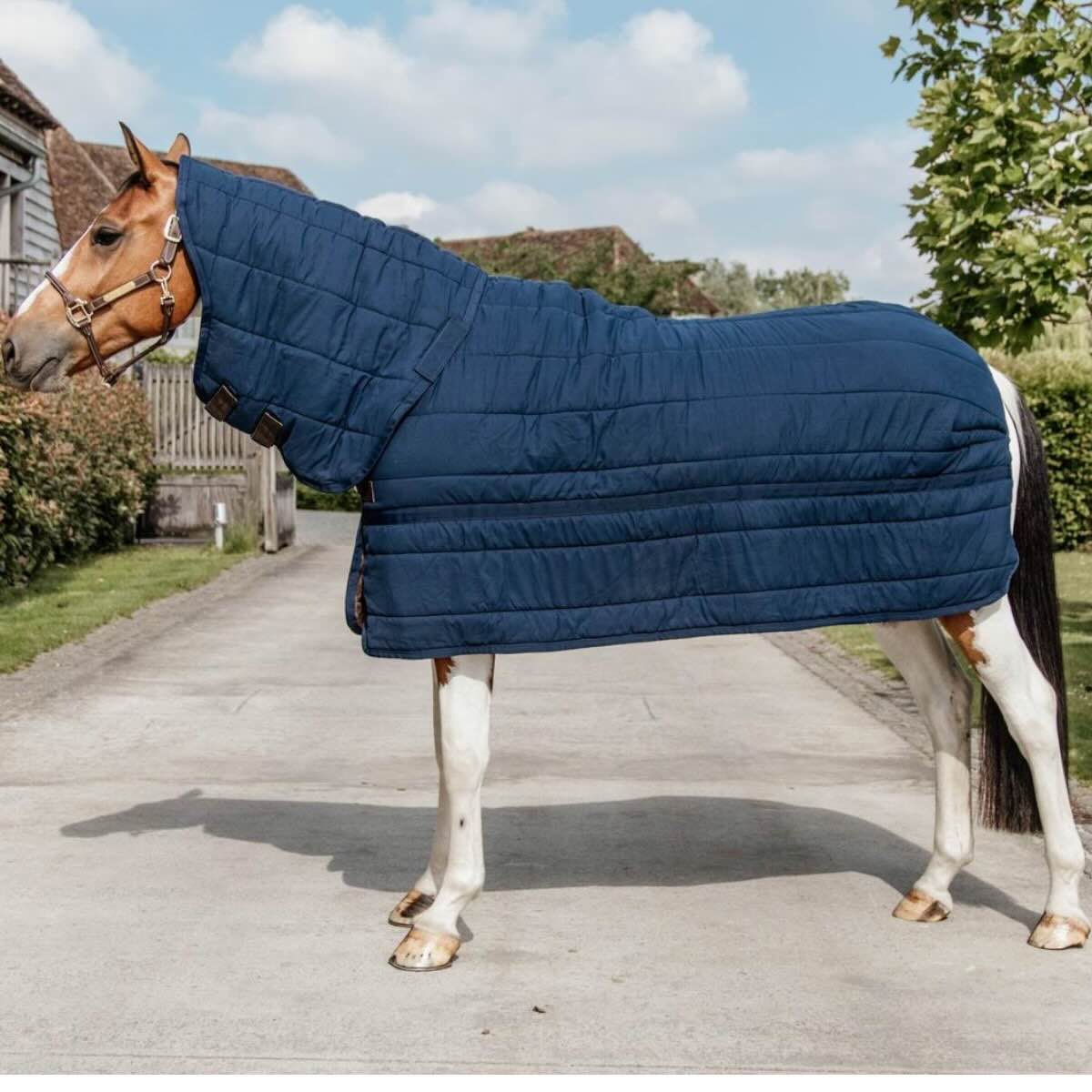 Kentucky Horsewear Unterdecke 150g + Halsteil Skin Friendly, Midsummer Blue, Pferd trägt die Decke.