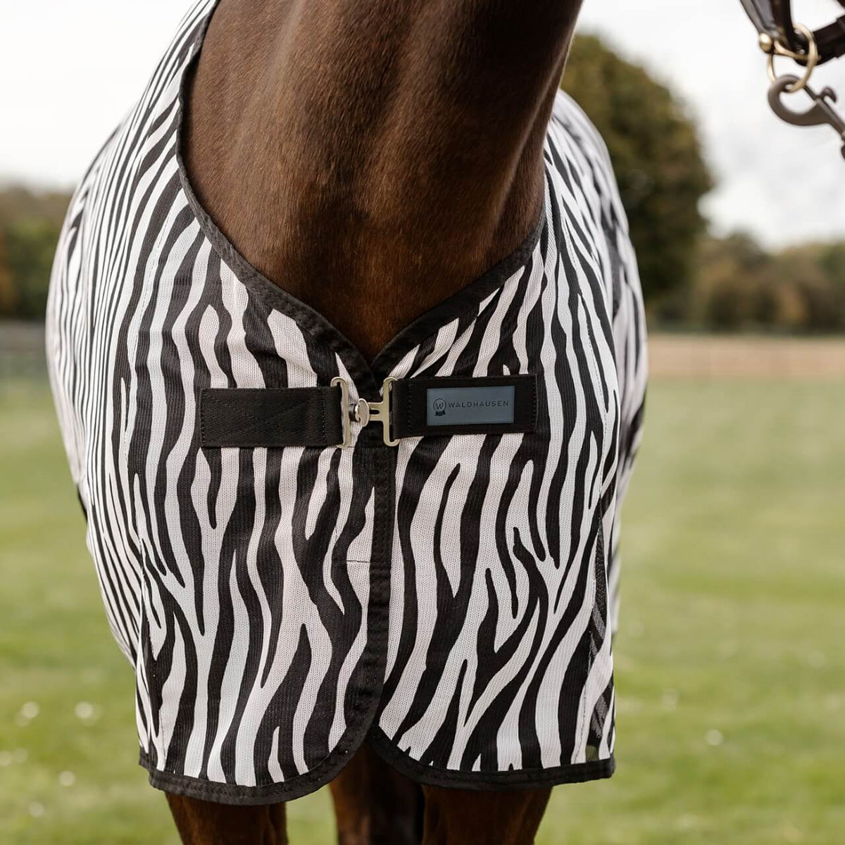 Waldhausen Fliegendecke Zebra mit Kreuzgurten Fliegenschutz, mehrfarbig, Pferd trägt Decke.