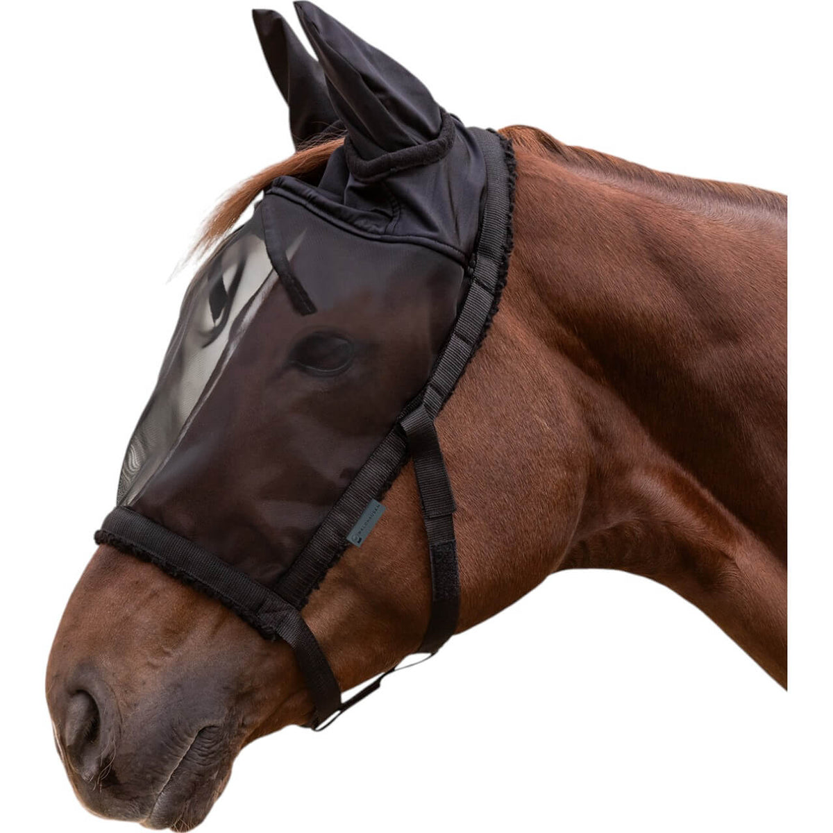 Weidehalfter mit Fliegenmaske Halfter