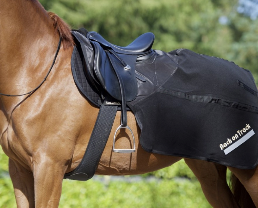 Back on Track Ausreitdecke Supreme Nierendecke, Schwarz, Pferd mit Satteldecke beim Ausritt.
