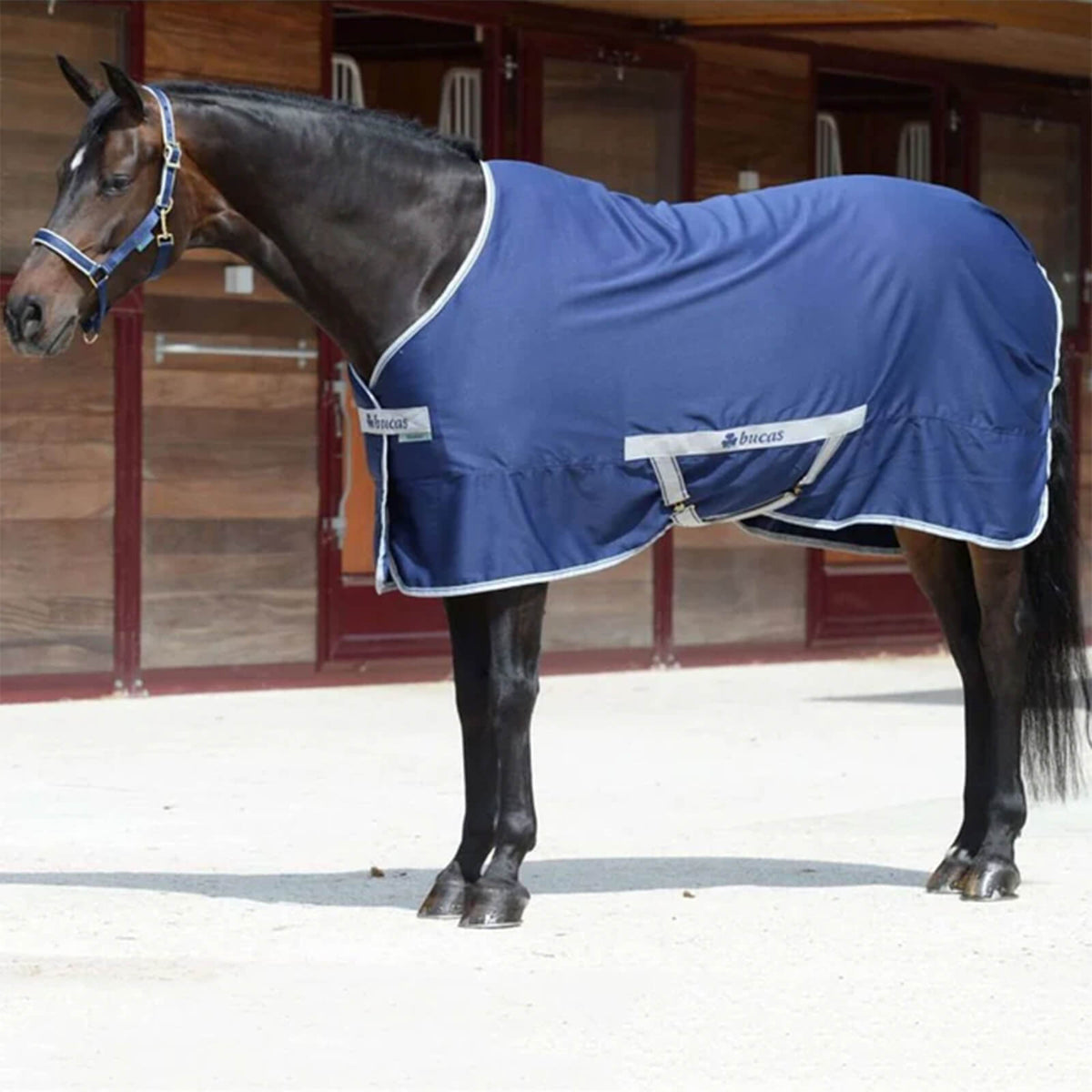 Stalldecke Freedom Twill Sheet