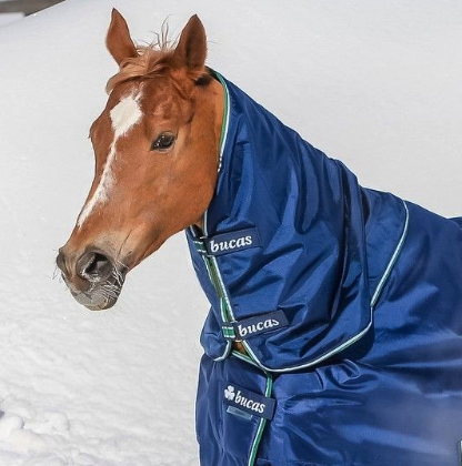Bucas Halsteil Smartex Combi Neck, Blue, am Pferd im Schnee.
