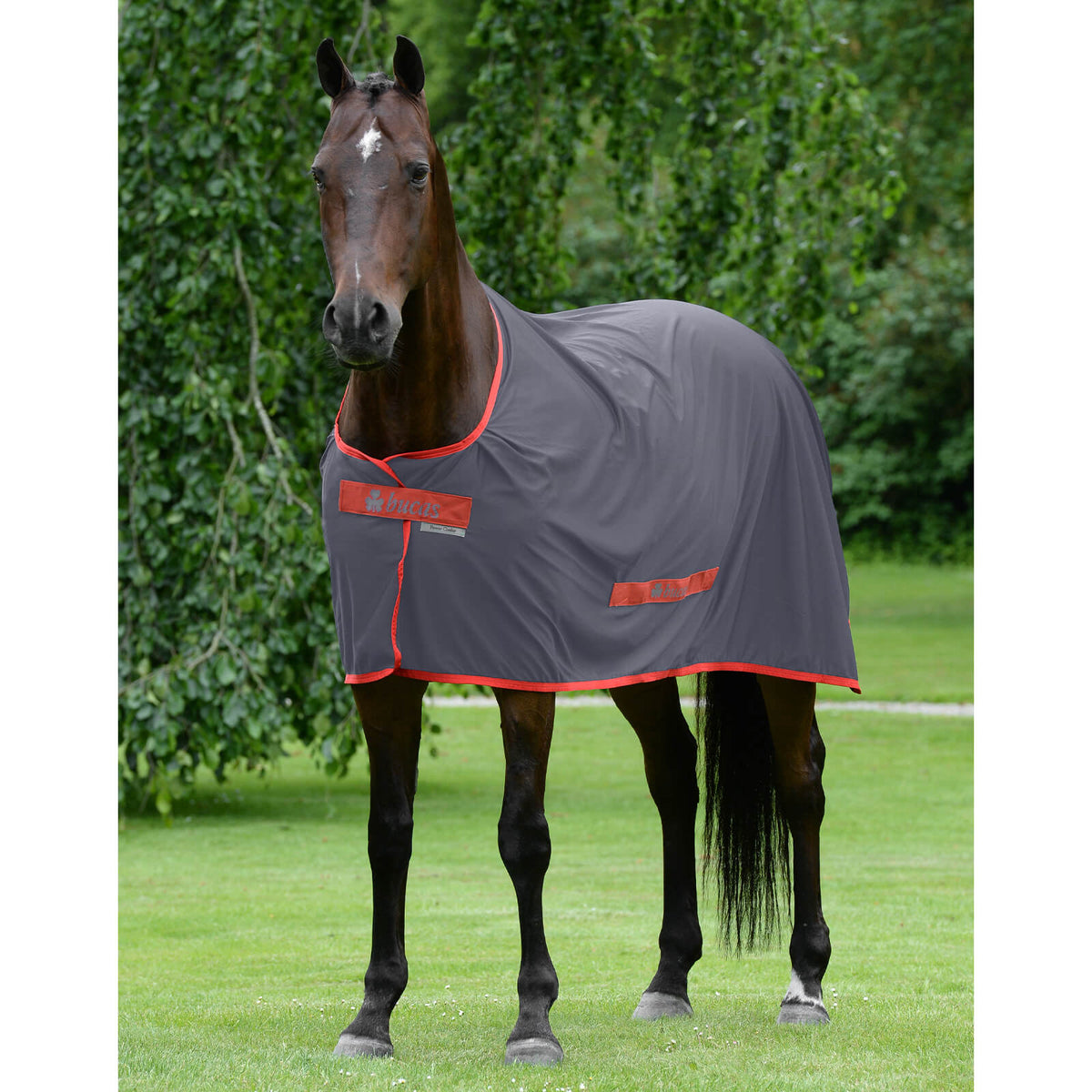 Bucas Multifunktionsdecke Power Cooler, Grey/Red, Pferd auf der Weide mit Decke.
