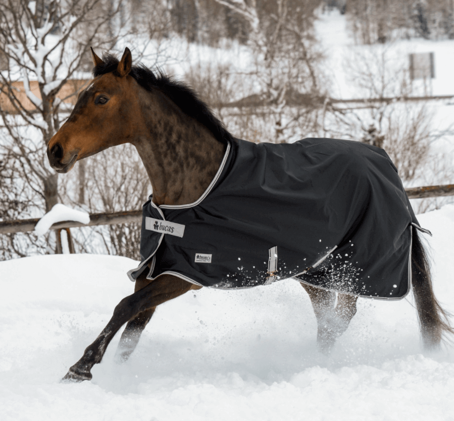 Bucas Outdoordecke 0g Anniversary Turnout Light Regendecke, black/silver, Pferd im Schnee.